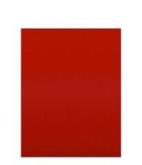 Akripol 2K Akrilik Oto Boyası Dodge 4228 Dodge Kırmızı 1 Litre