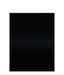 Akripol Bazkat Akrilik Oto Boyası Renault 694 Vernikli Siyah 1 Litre