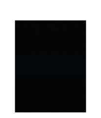 Akripol Bazkat Akrilik Oto Boyası Ford FRD9583 İnci Siyah 1 Litre