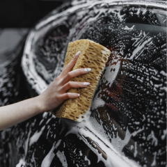 Demonax PH Nötr Oto Şampuan 1 L