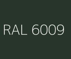 RAL 6009 Köknar Yeşil Sprey Boya 400ML